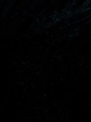 LeftMango2350의 후지나가 사쿠야