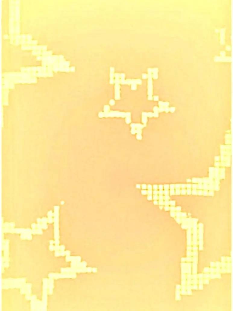 ngyaaaa-0819의 ぬはは