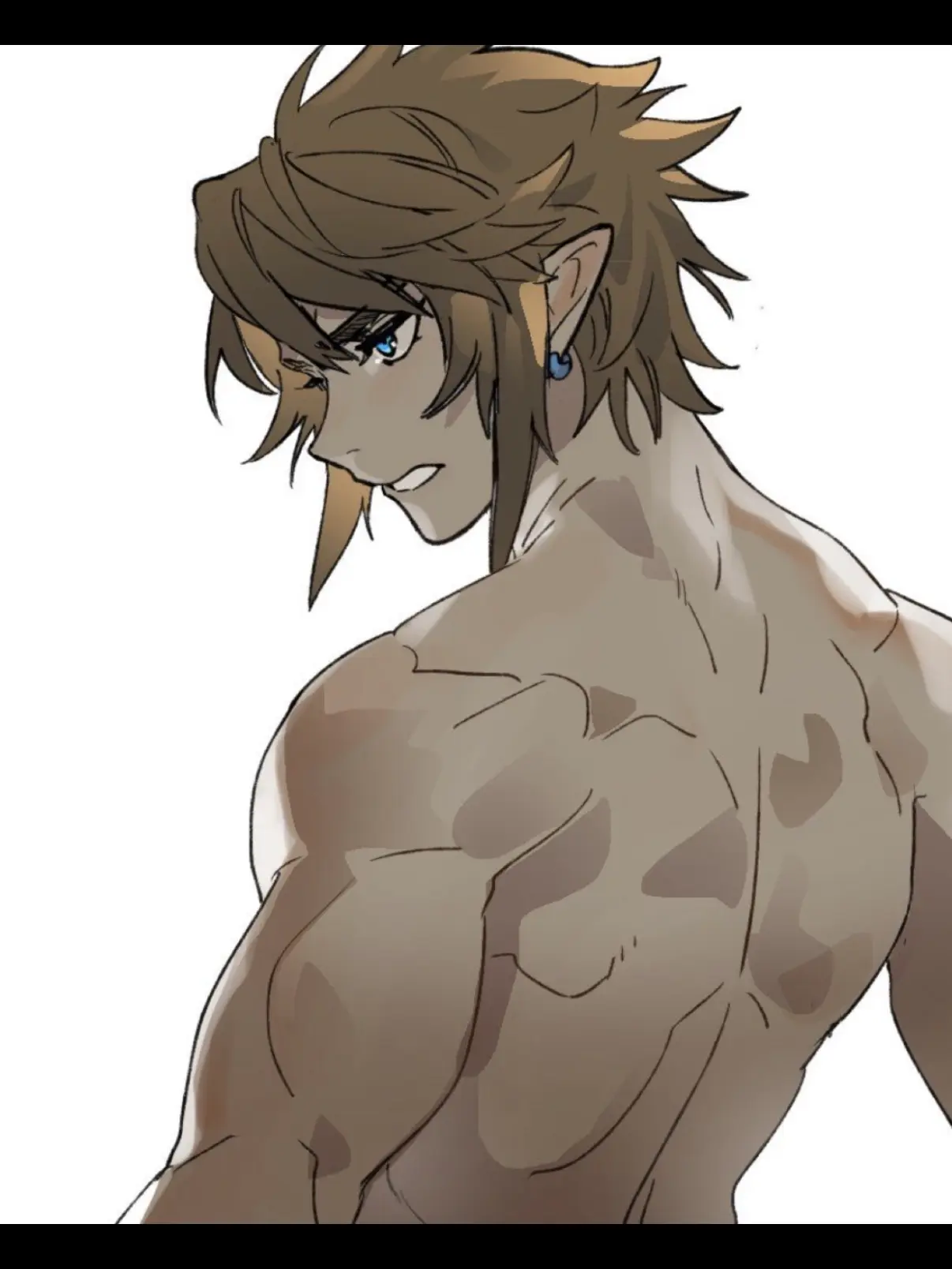 BlueBooby7488의 Link (BOTW)