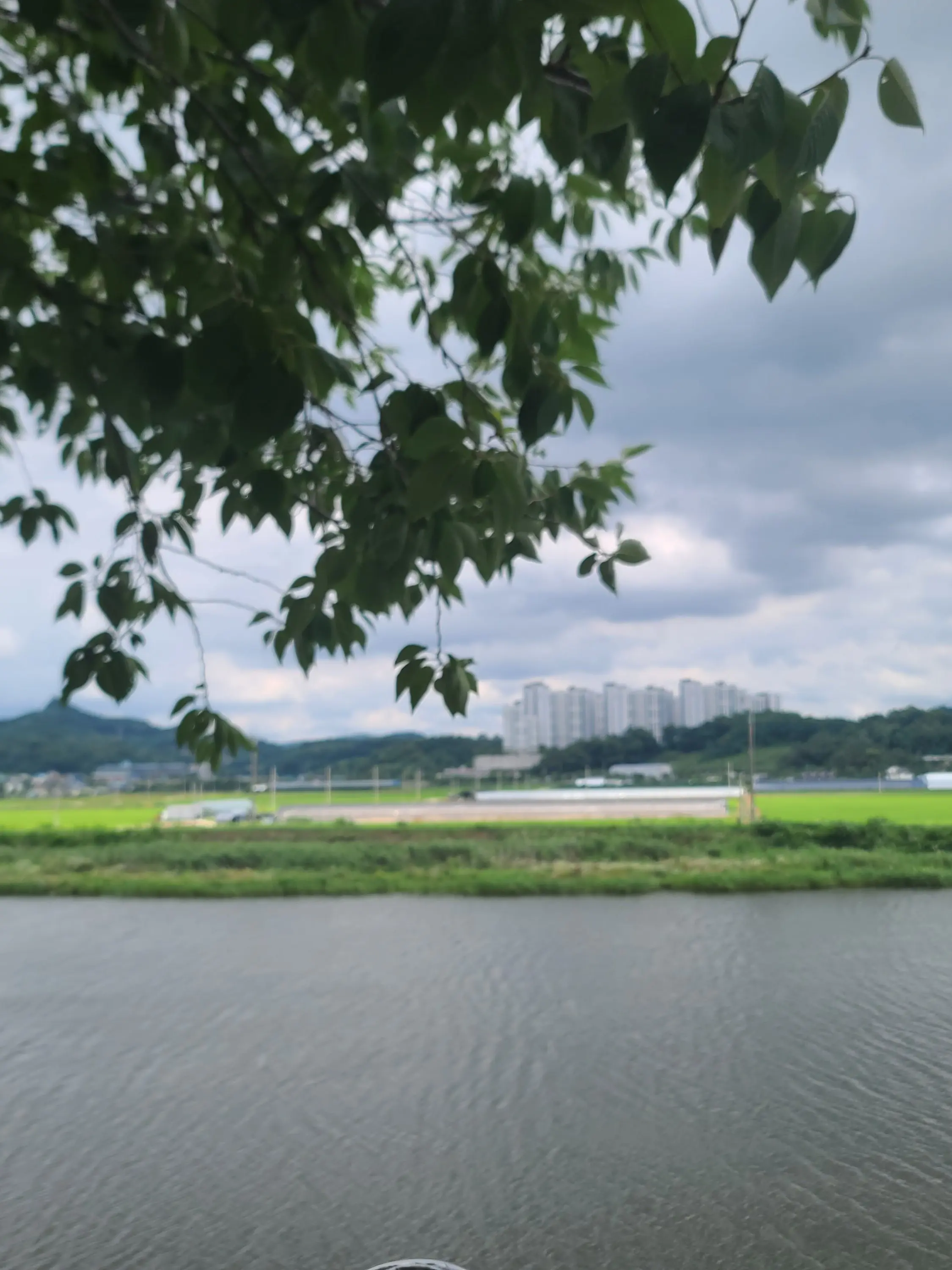 Po_thik의 공지ㅣㅣ