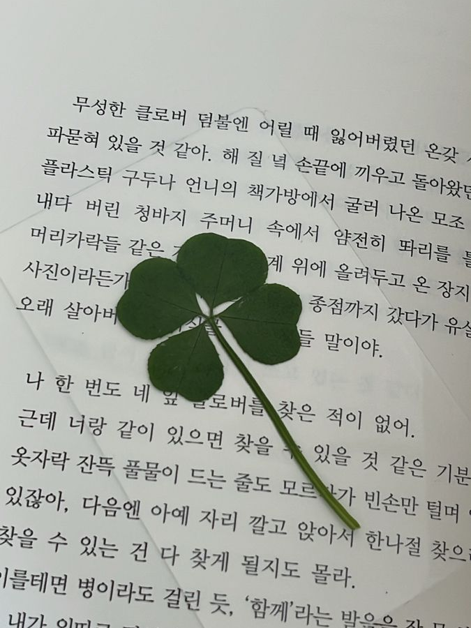 Belucky🍀 대표 이미지