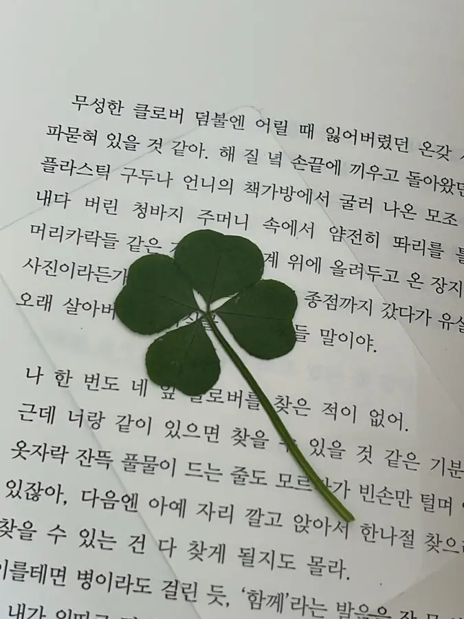 sponge_happy의 Belucky🍀