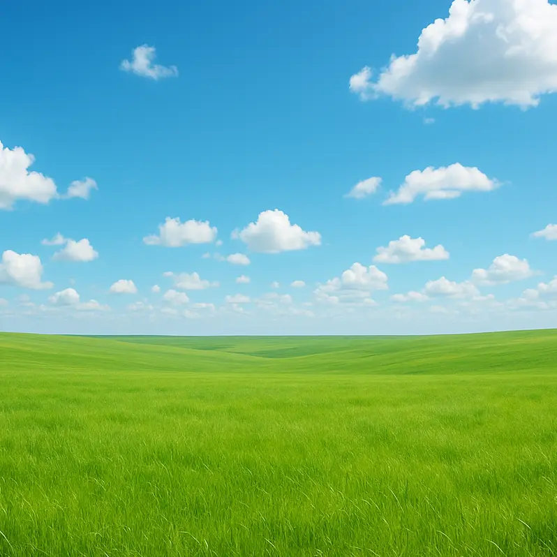 Arigato1108의 何でもできる世界