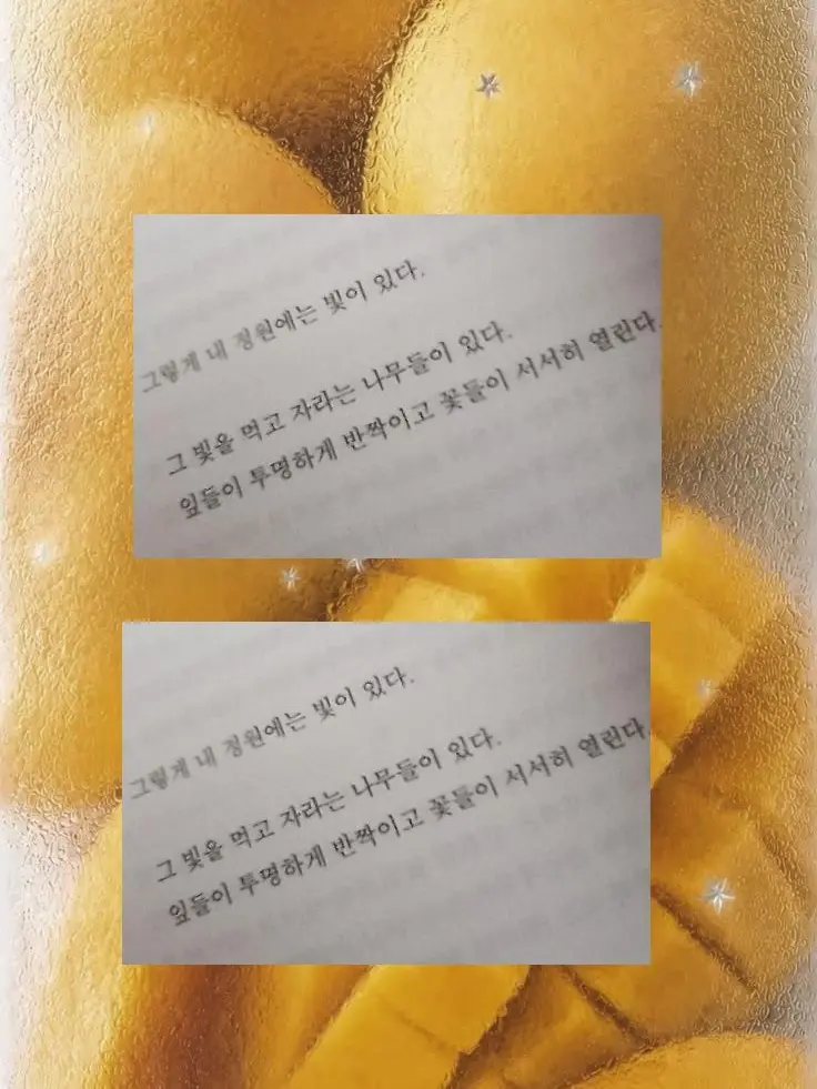 lsssA의 차쥐뿔ㅡ1