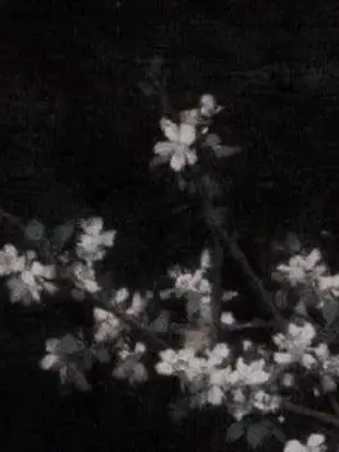 Ica11itFaSHioN의 M1nd s1cker…💊