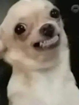 Min_0822의 제이의 옆집누나가 되어보자-!