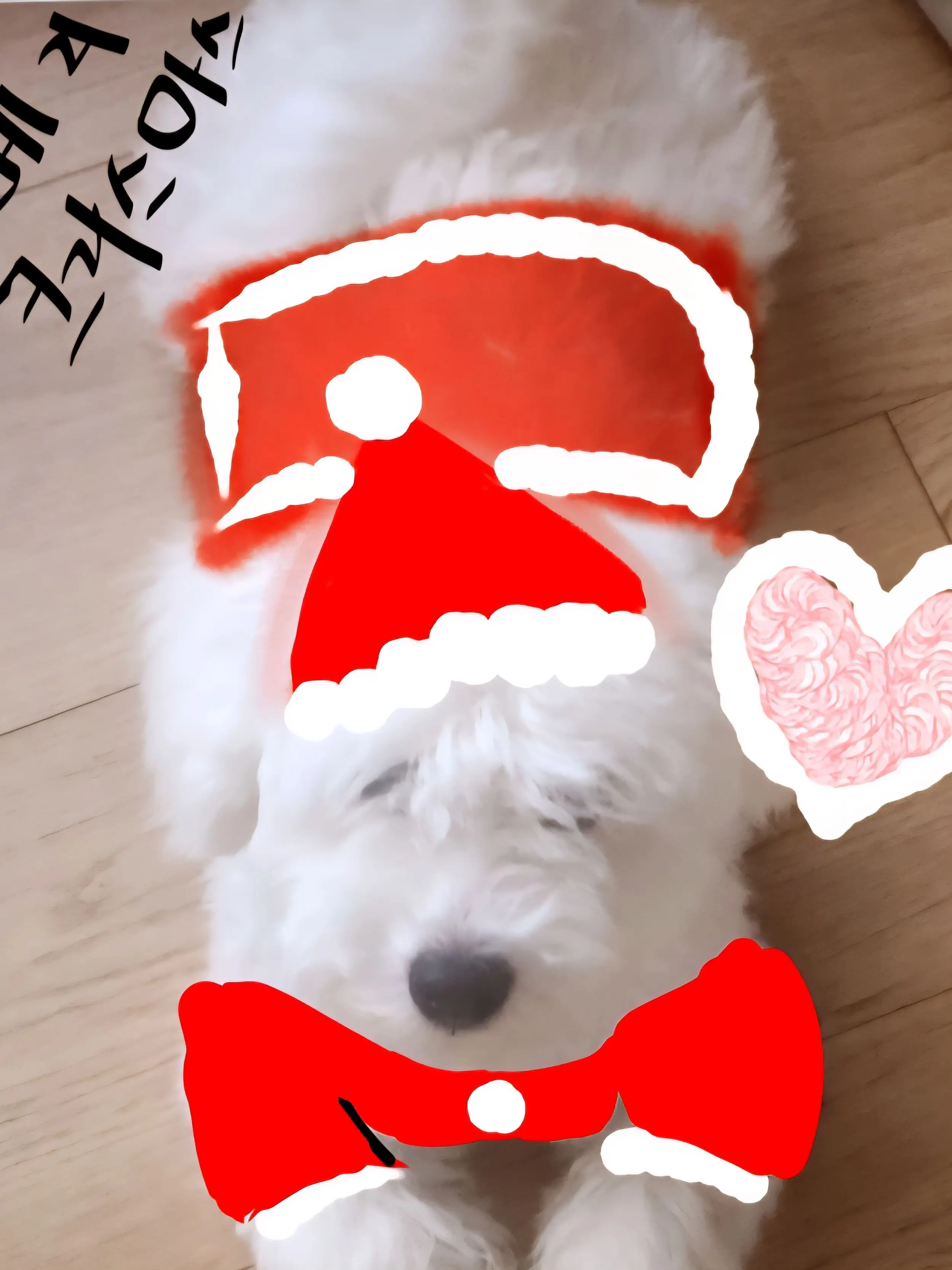 SmallBoard2807의 내 짝남을 꼬시려는 여우