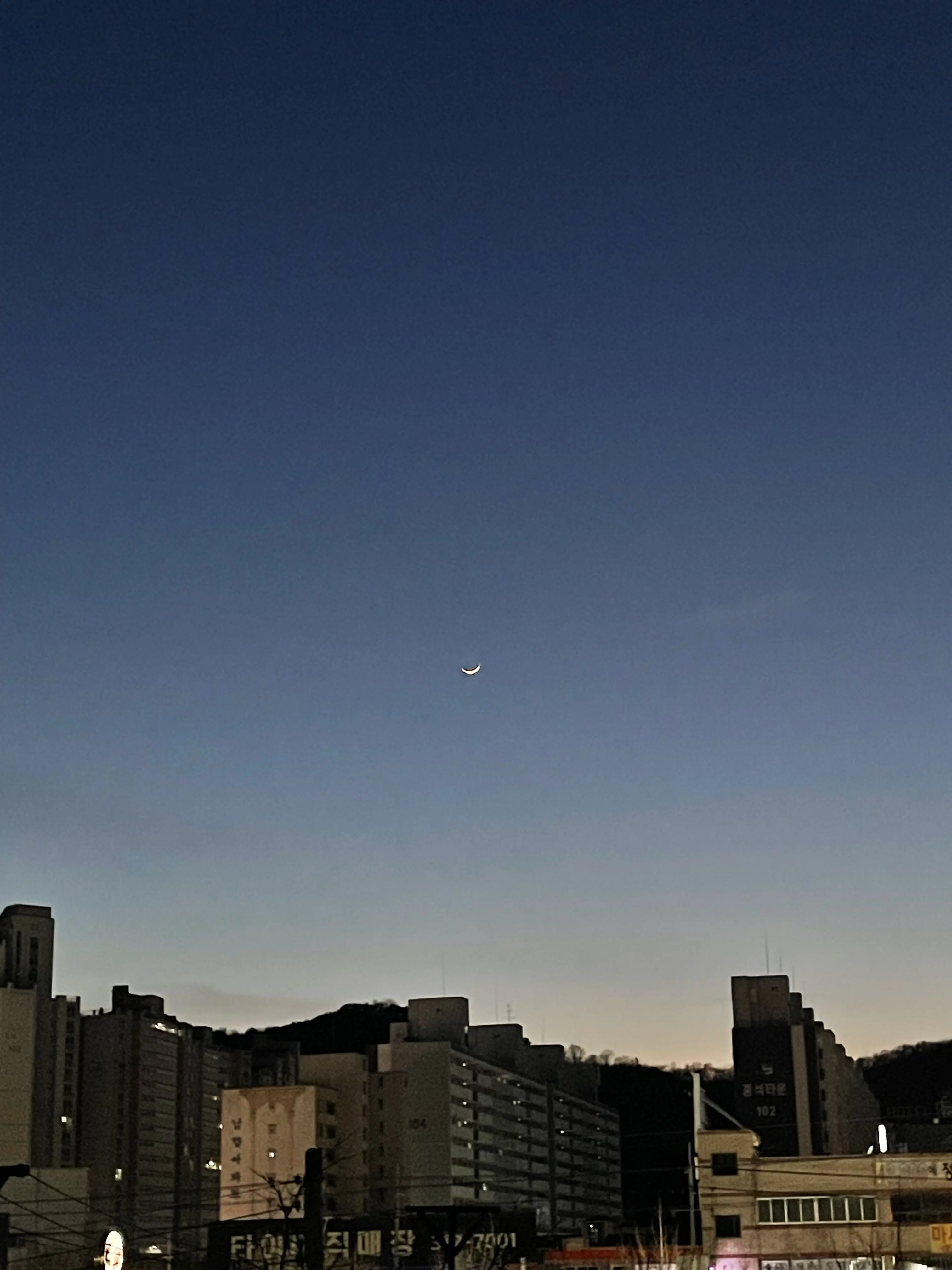 FluidEra2836의 조선시대 픽셀리