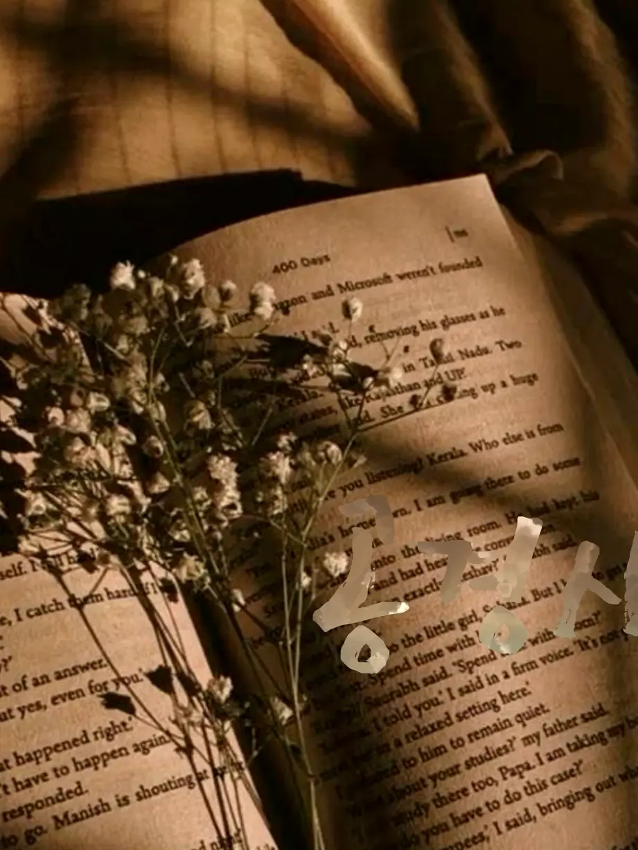 Vena4621의 공경사