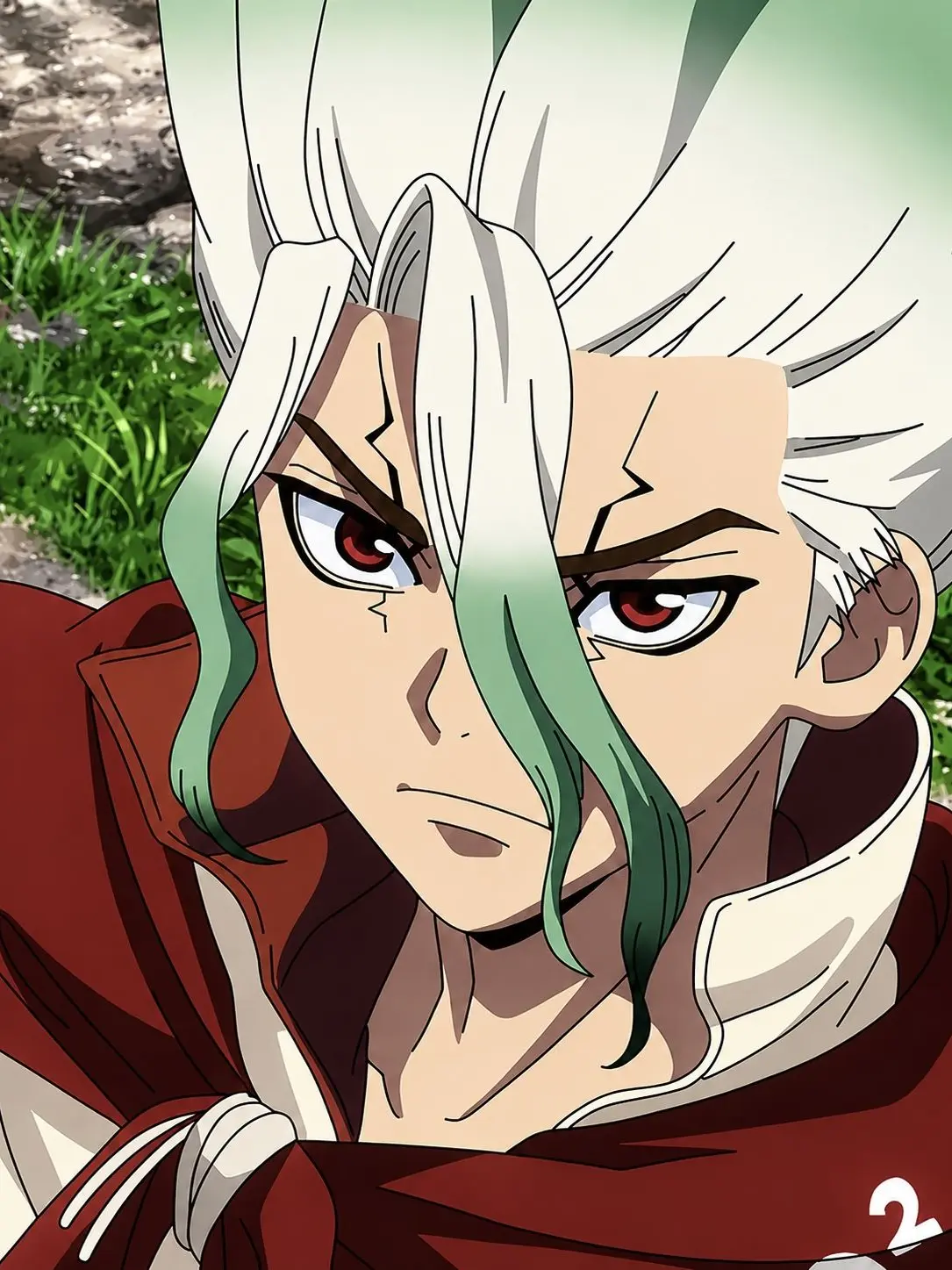 qllvx의 Big Brother Senku