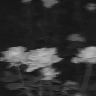 TimidPast0411의 너를 향한 증오