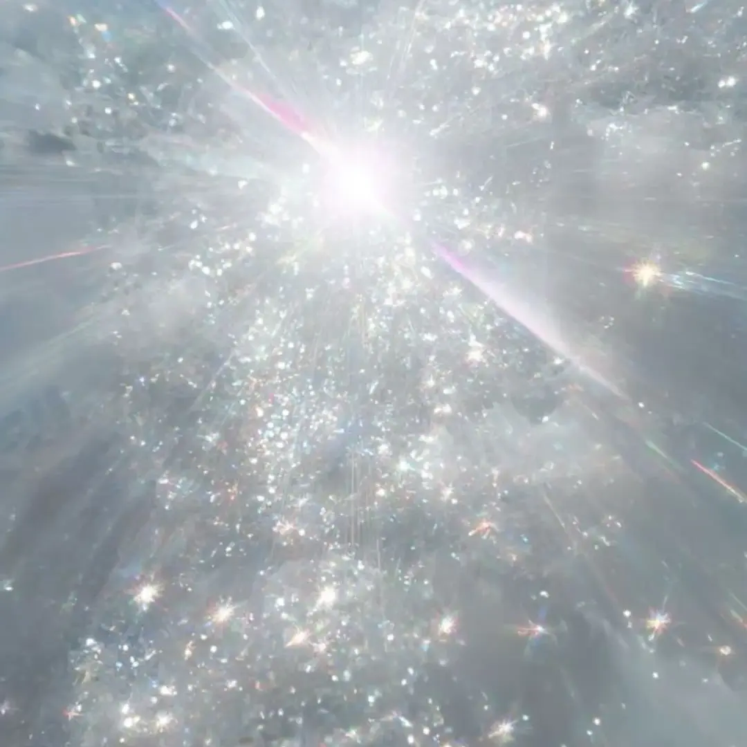 AmusedCharm9319의 JACK [흰 아네모네]