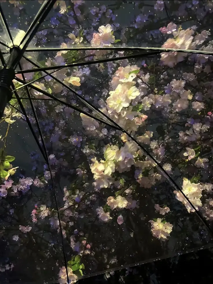 1sxku의 tueur à gages