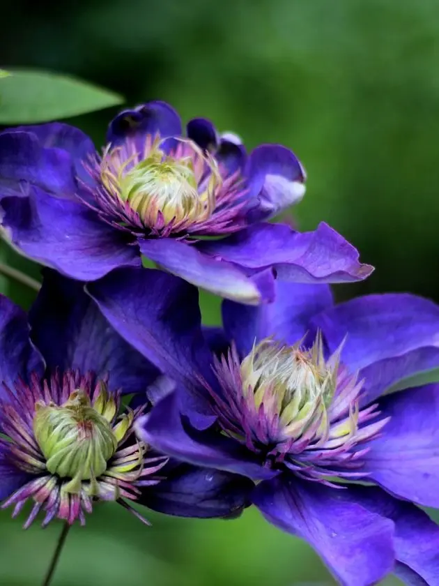 Trapp_3edw.의 作者専用