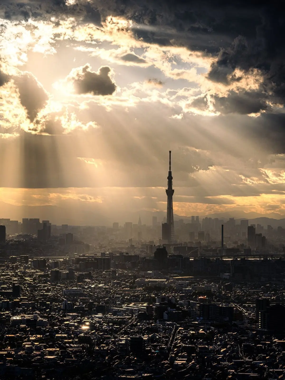 ClumsyWife6902의 ［『普通』]じゃない世界で。