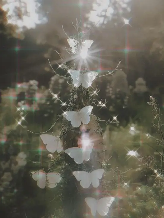 Heptagram_0423.의 평범한 조직-..물?