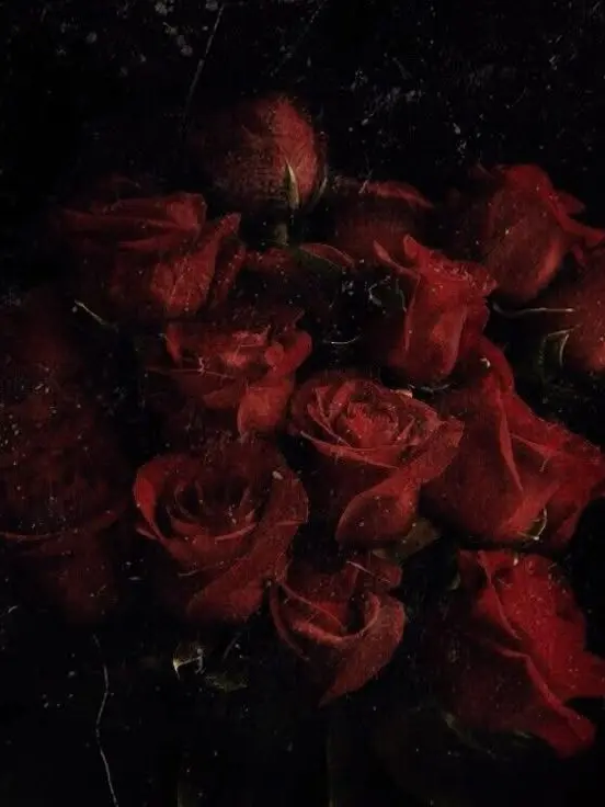 _sianx의 Mr. Pierre