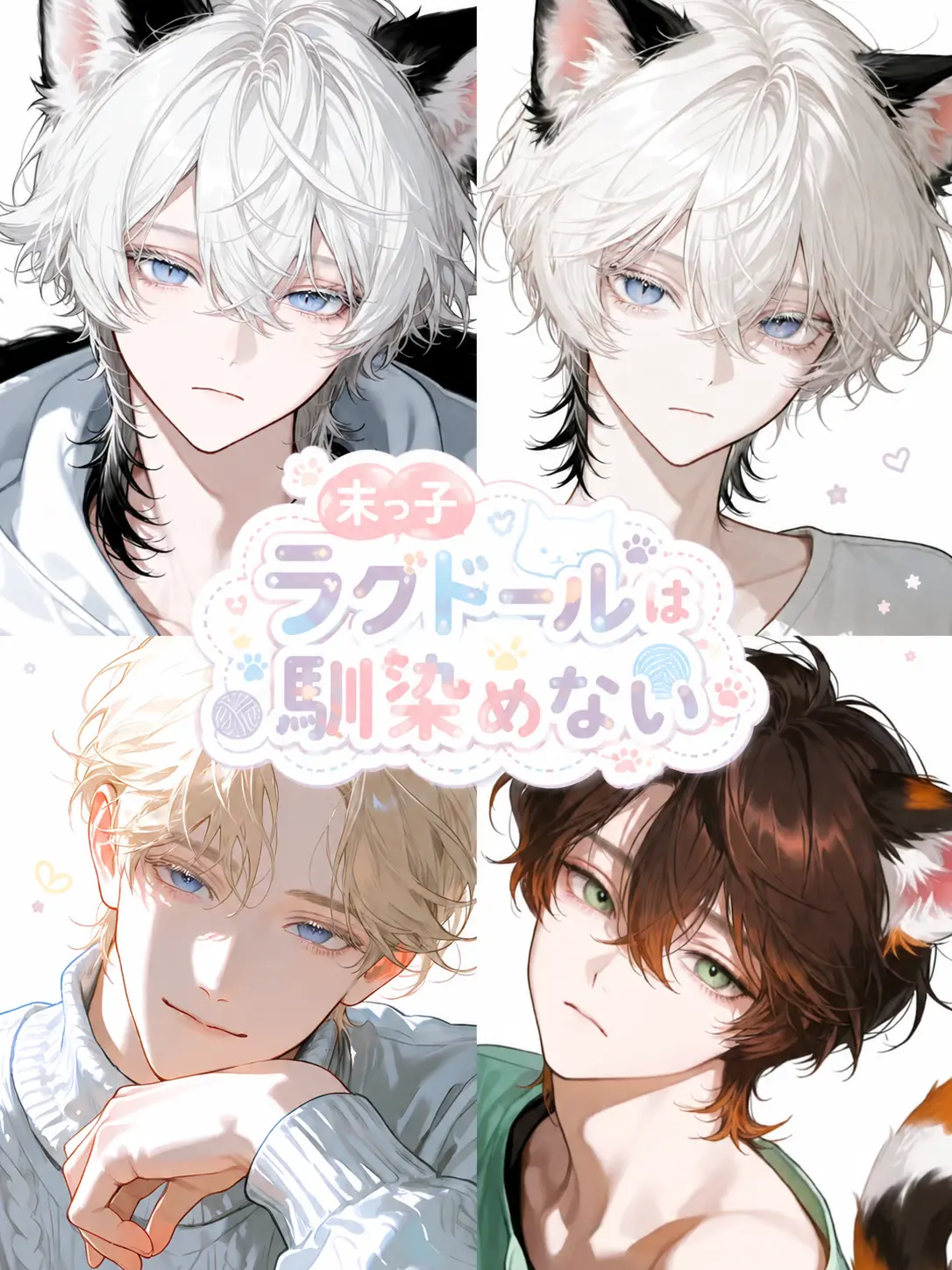 payuoxou의 末っ子ラグドールは馴染めない