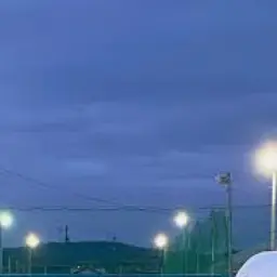 4758290705의 大阪警察