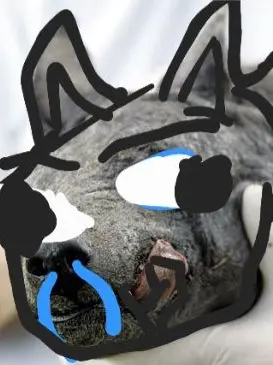 Anubisgodofdeath666444666_7777의 포켓몬스터 + 하렘/늑대