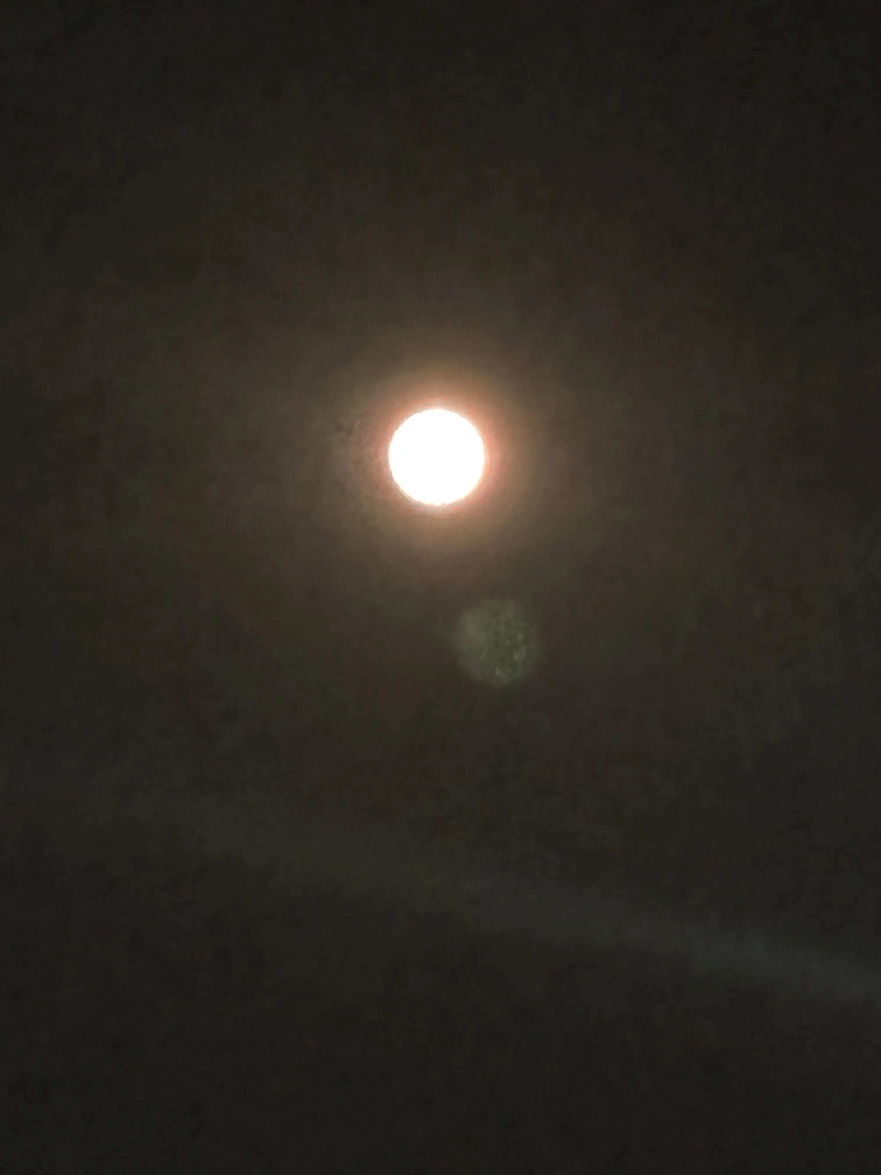 LovelyEmoji3818의 순애남 남자친구