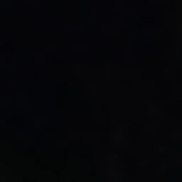 여우