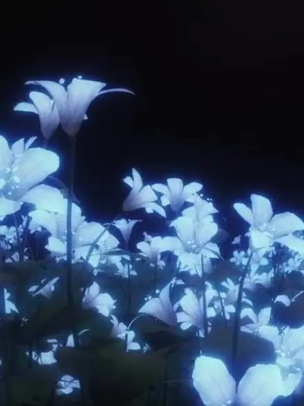 0y.a의 • 𝓚𝓐𝓘𝓢𝓔𝓡