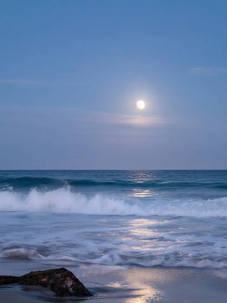 VitalPeach7564의 深海に住む熱帯魚