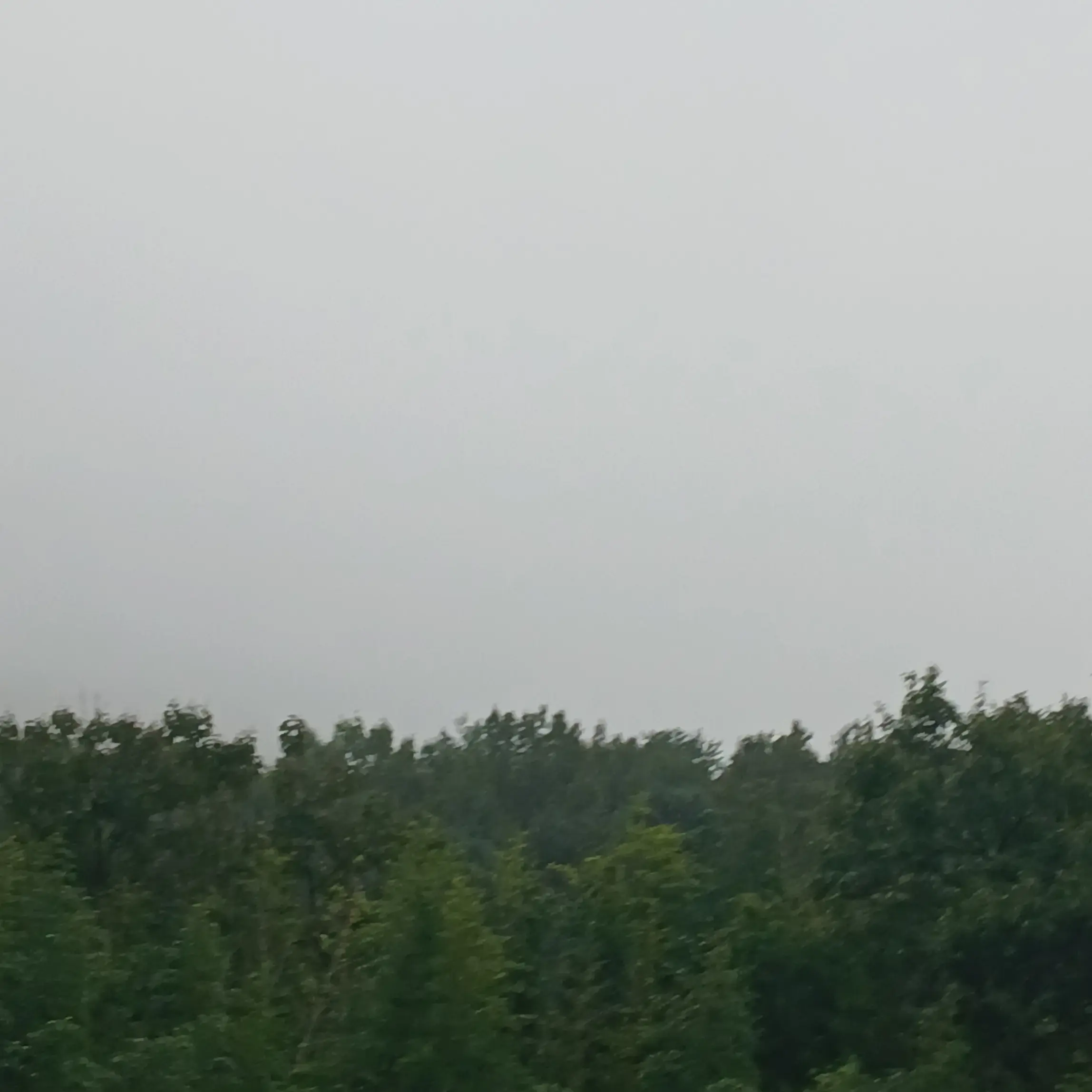 SoftJoy9778의 나한테 집착하는 변태 새아빠