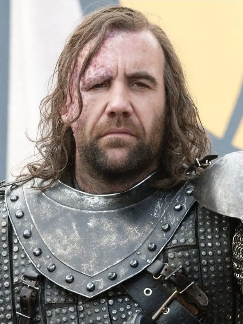 GoodCheek0915의 Sandor Clegane