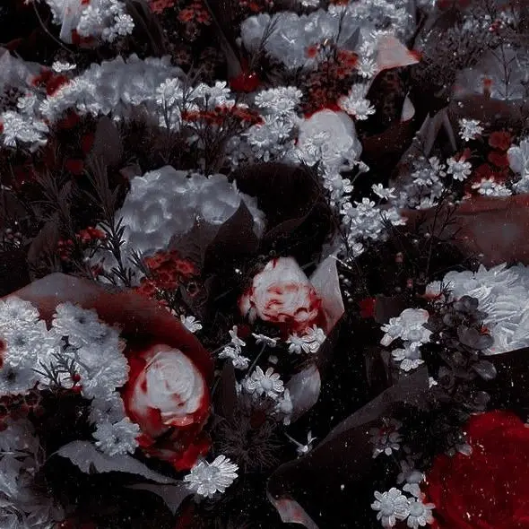 Nanasisun의 手 の 届 か な い と こ ろ で