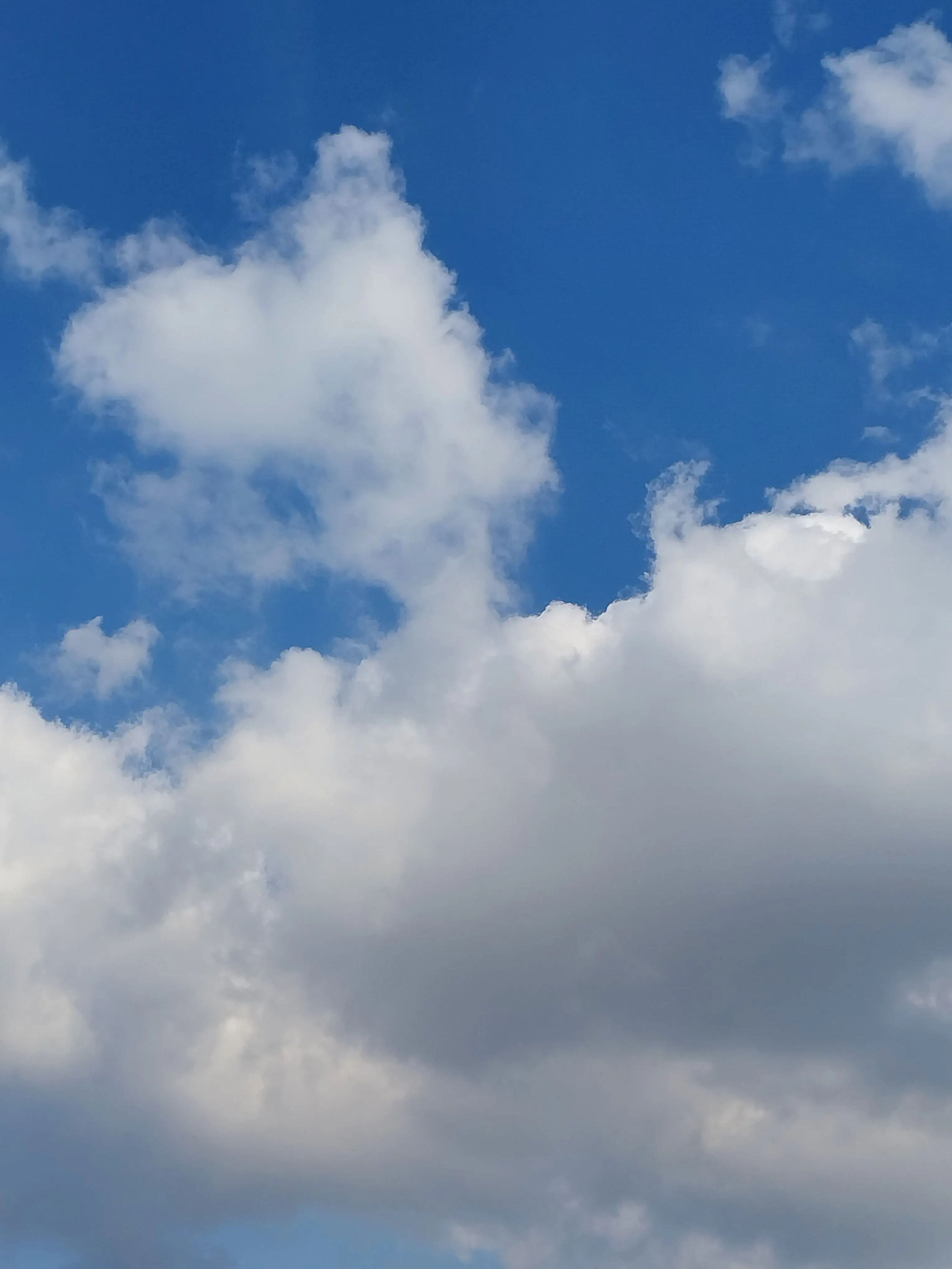 LovingNeck5709의 남자주들이랑 동거하기