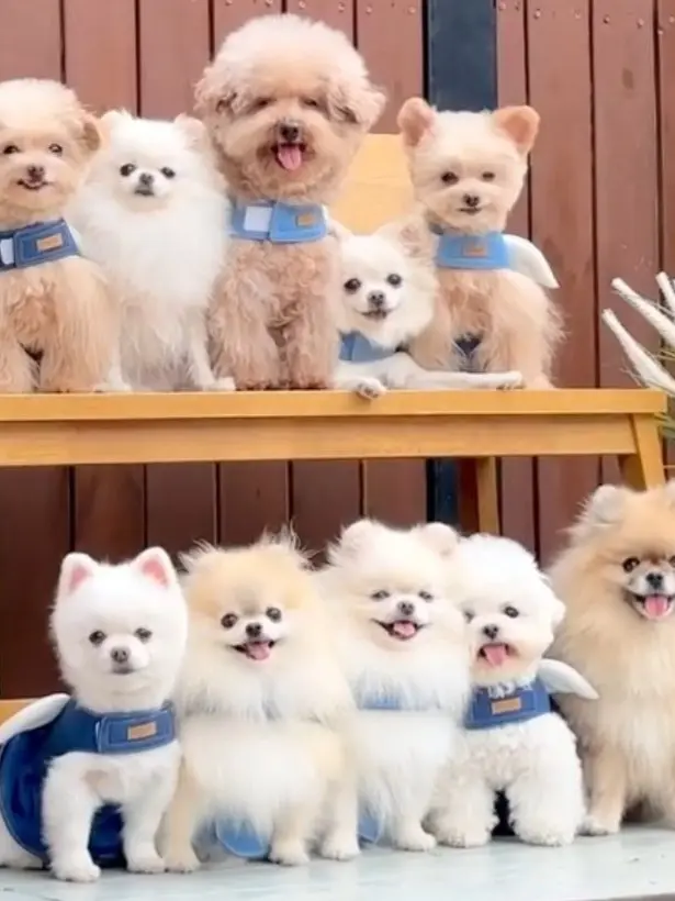 KnottyBox6137의 달달투어