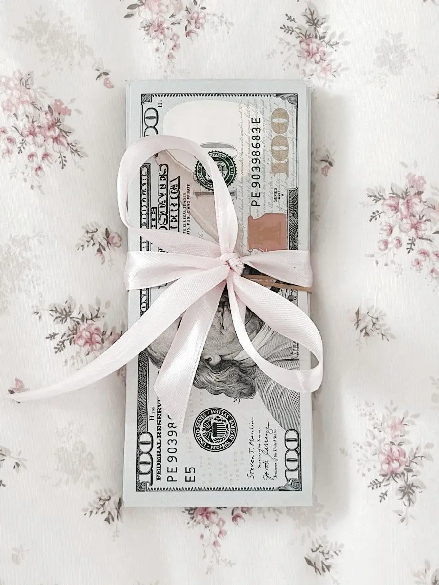 SafeSlide4353의 pocket money