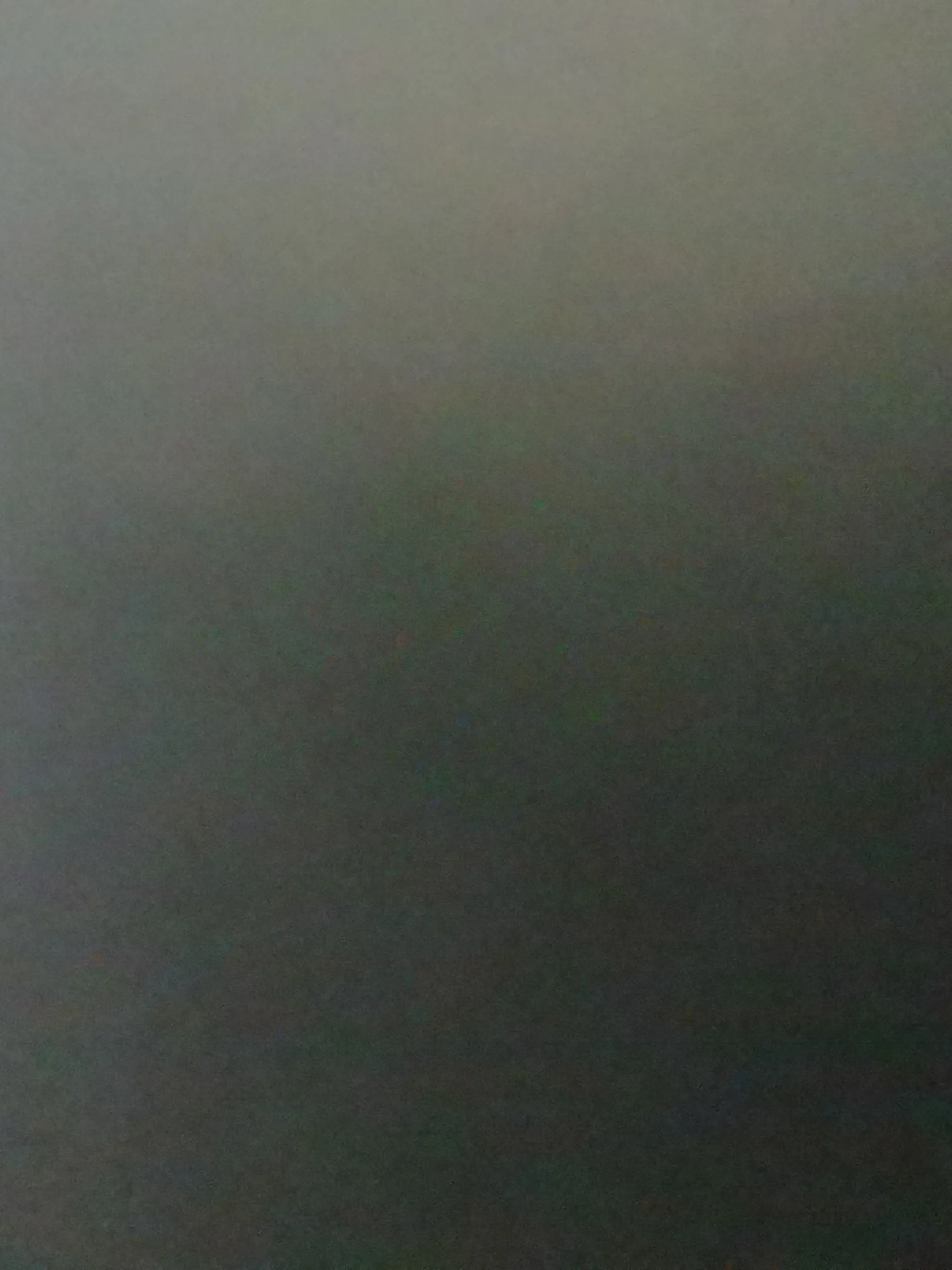 593jdw8699의 転校生の男子