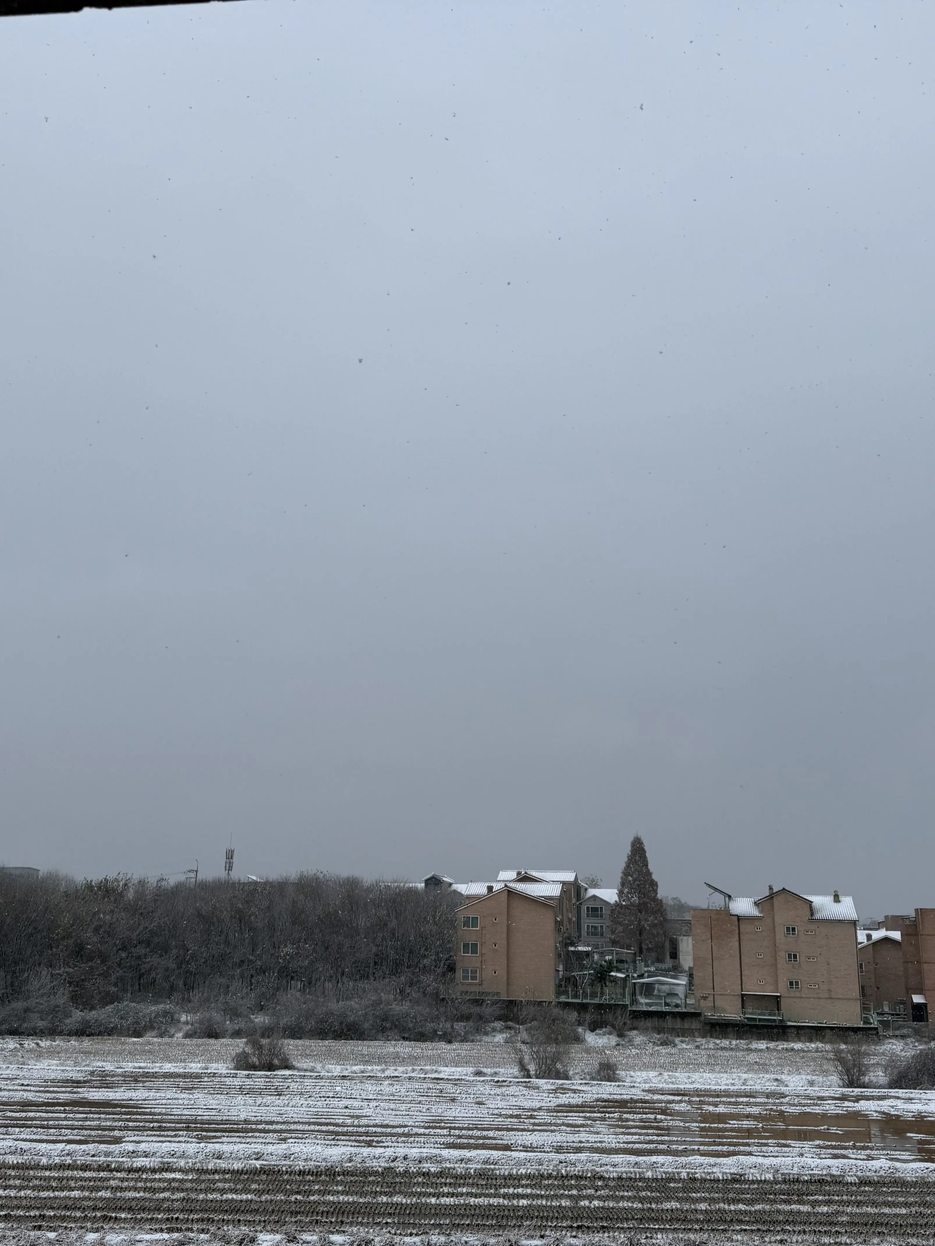 TangySteel8335의 피라미드 고고프렌즈+팀나빠