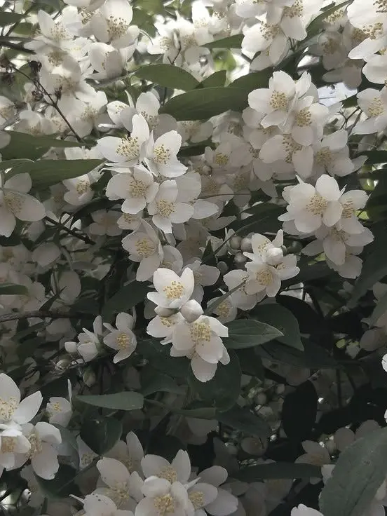 MildLaugh1805의 너 한번 안을때