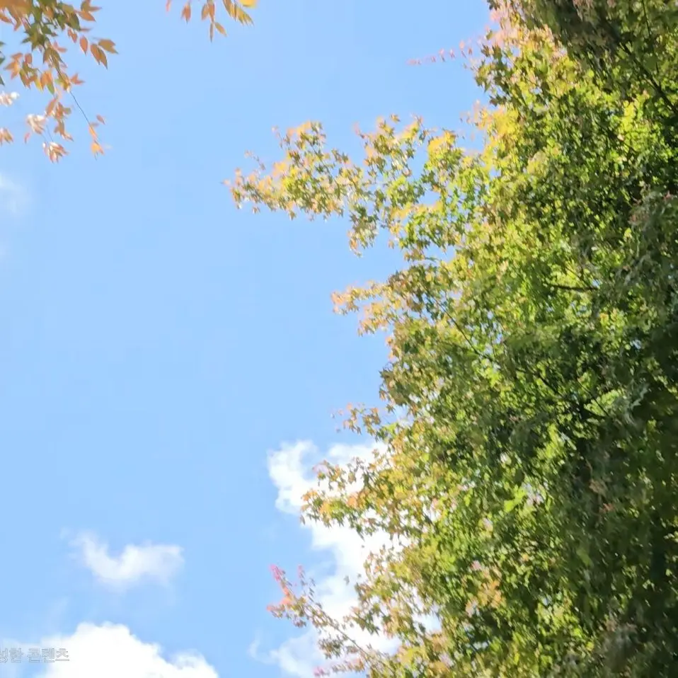 M_7060의 【救援者】