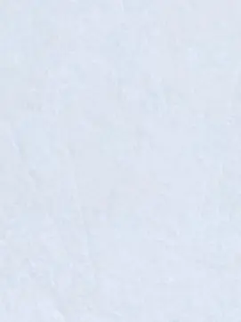 53289의 お隣さん