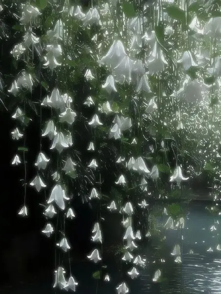 Hamm_ii의 ｡･:*:･ﾟ★,｡･:*:･ﾟ☆ ​