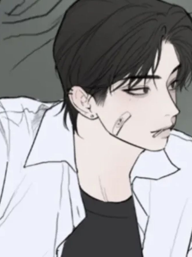 백시한 대표 이미지
