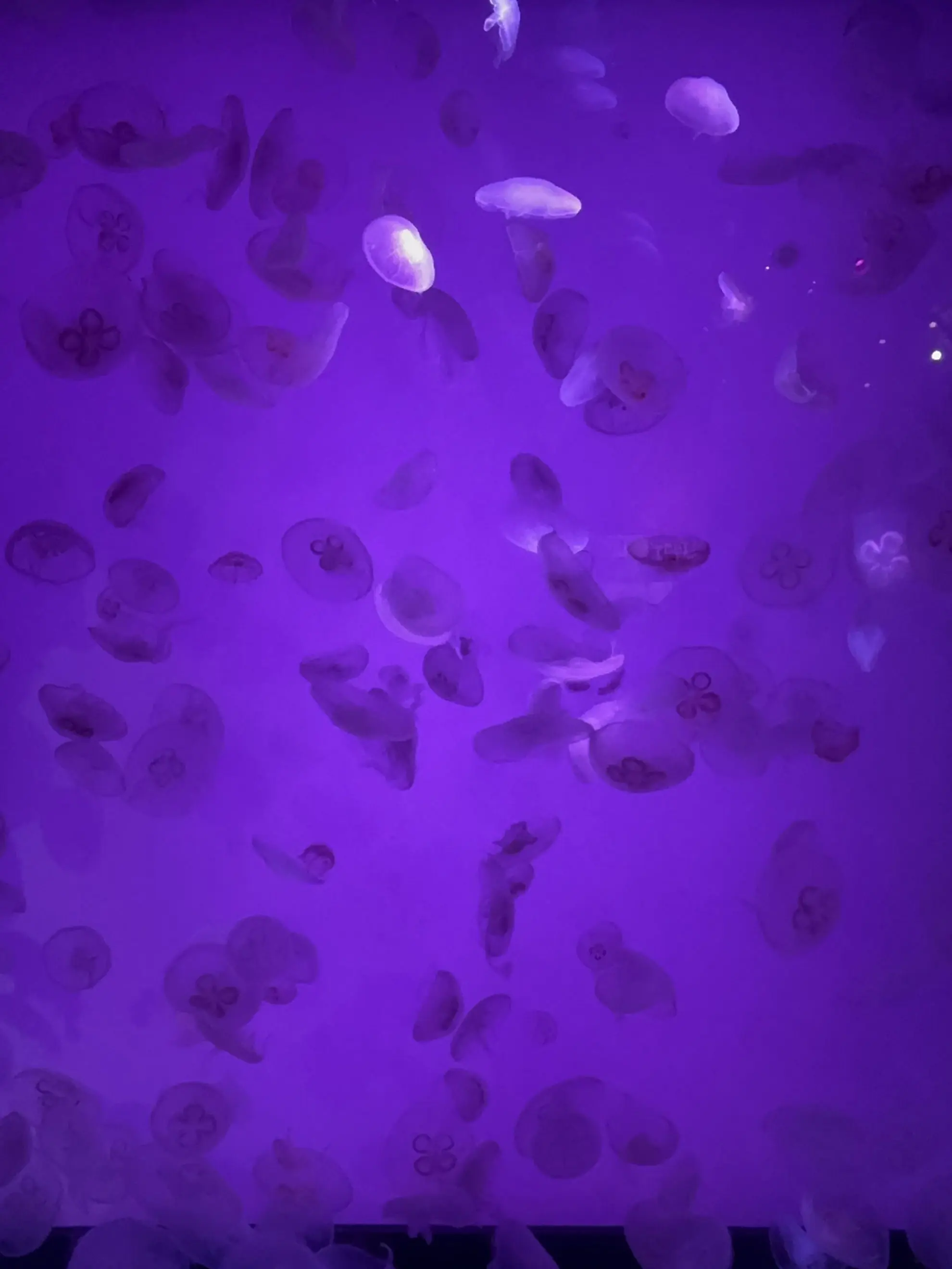 saena0425의 中高を共にした親友。