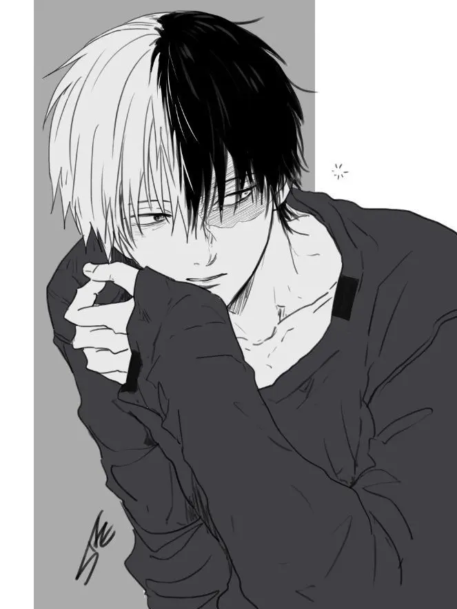 LivelyBike6140의 [Shoto Todoroki] BL