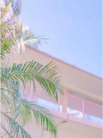 LovedCable2913의 김준엽경장.? 옆에는 누구인가...?