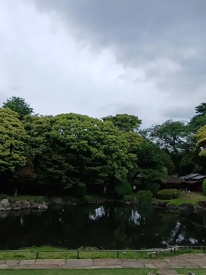 ikisugyi07211919114514810의 森