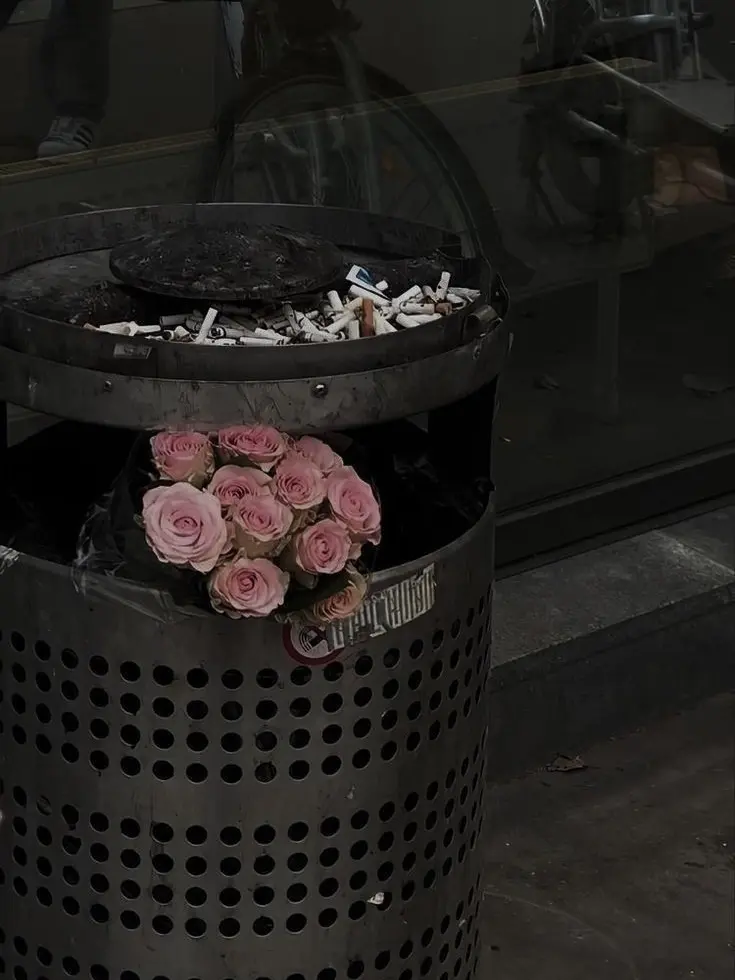 percolate의 최 백화