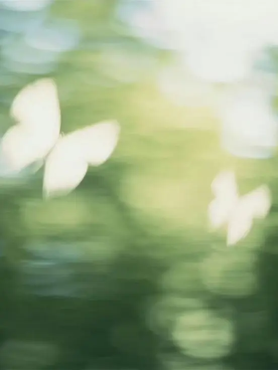 EggyCream3452의 Fly and Fell