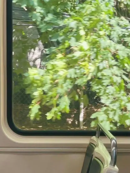 OINg789의 안현성