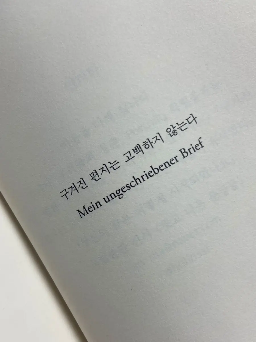 mujo의 내가 널 버렸다고?
