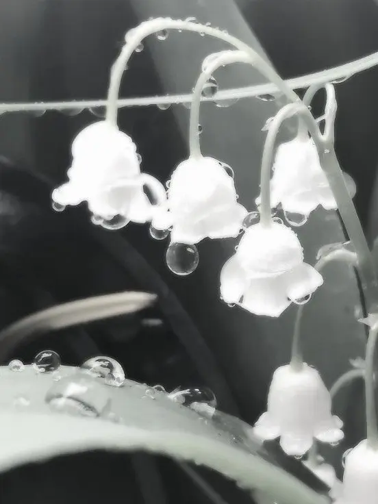 nx.ong00의 … 나 남잔데?